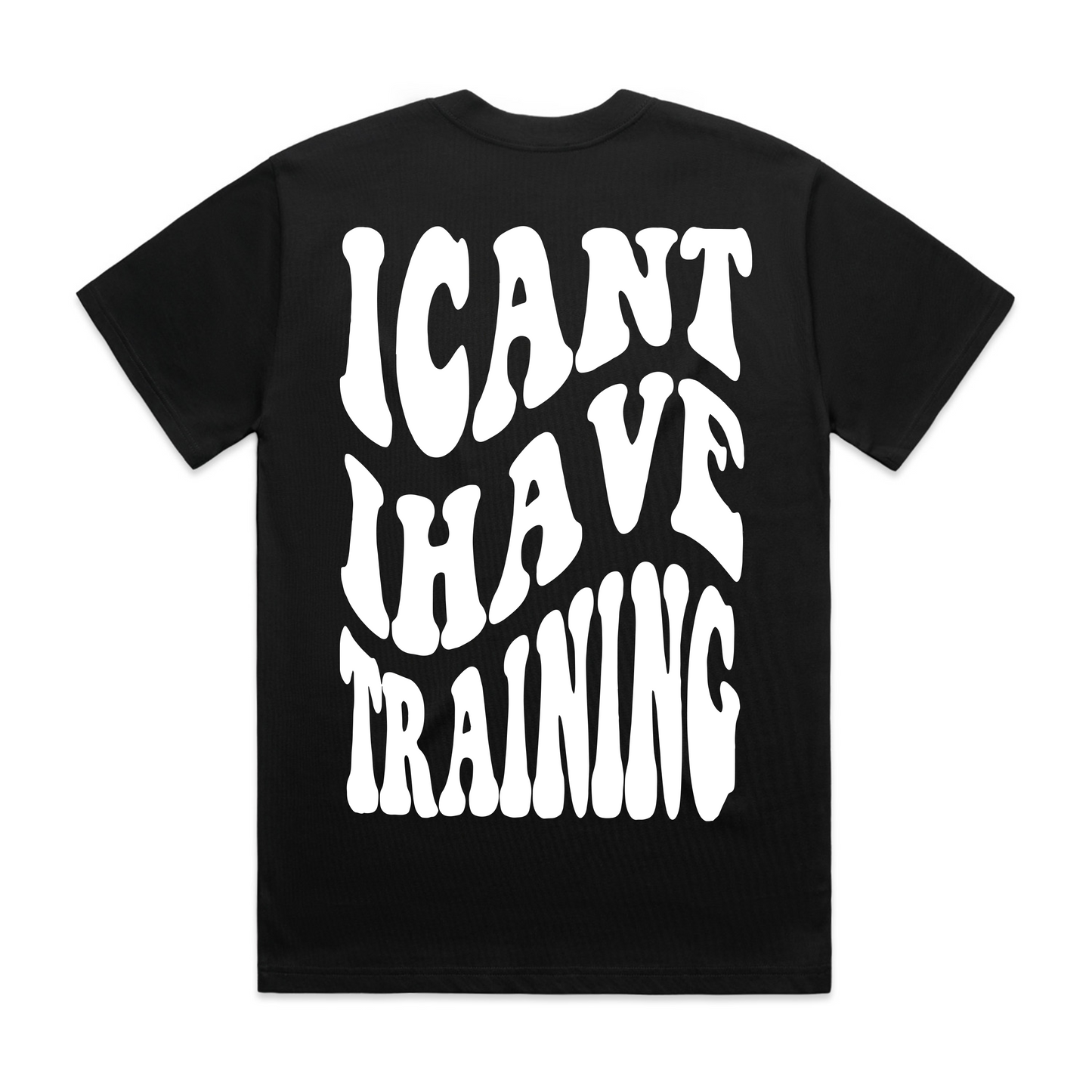 I Have Training T-shirt (Adult)